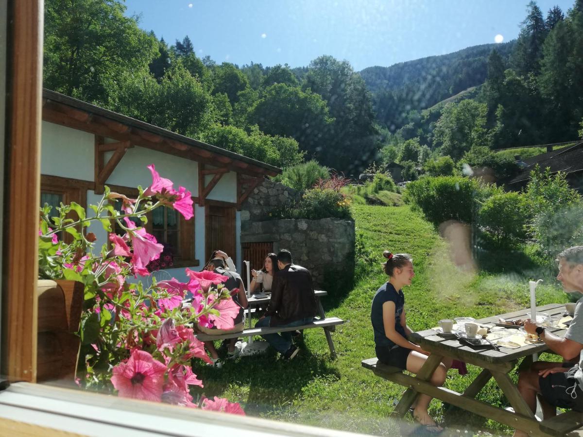 Agriturismo Dalla Natura La Salute Giustino エクステリア 写真