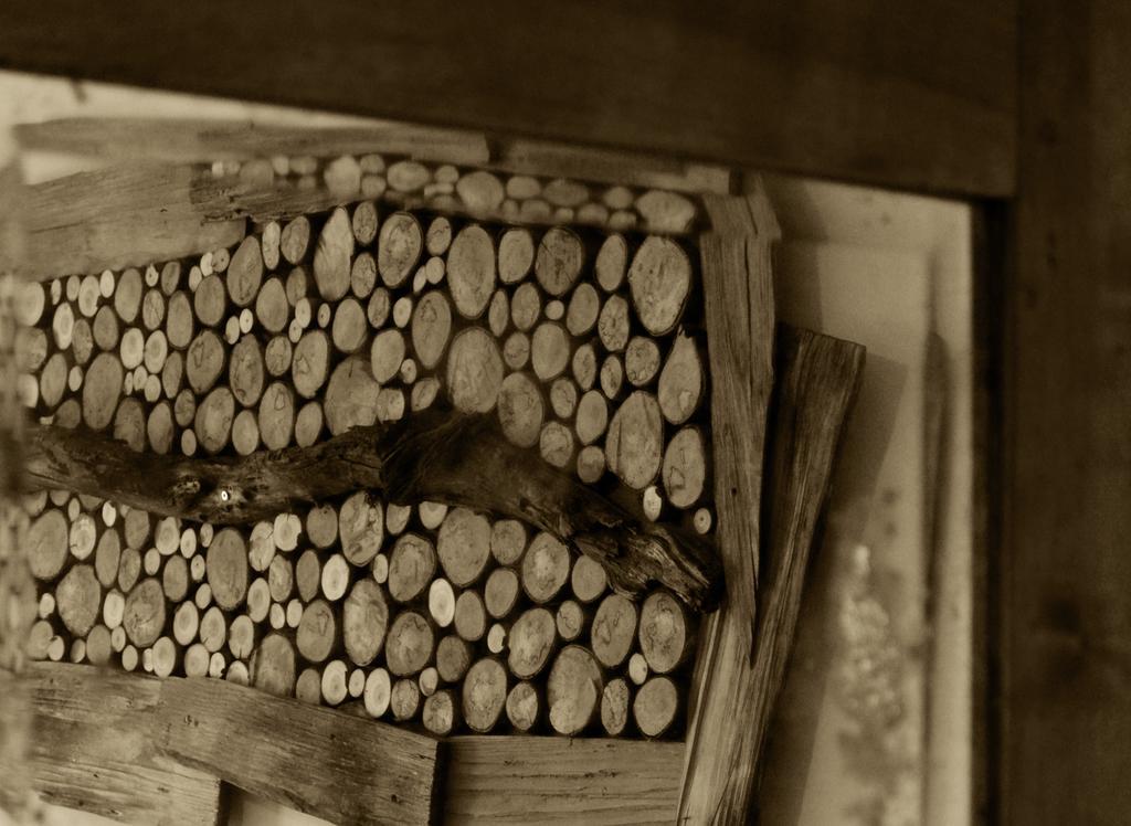 Agriturismo Dalla Natura La Salute Giustino エクステリア 写真