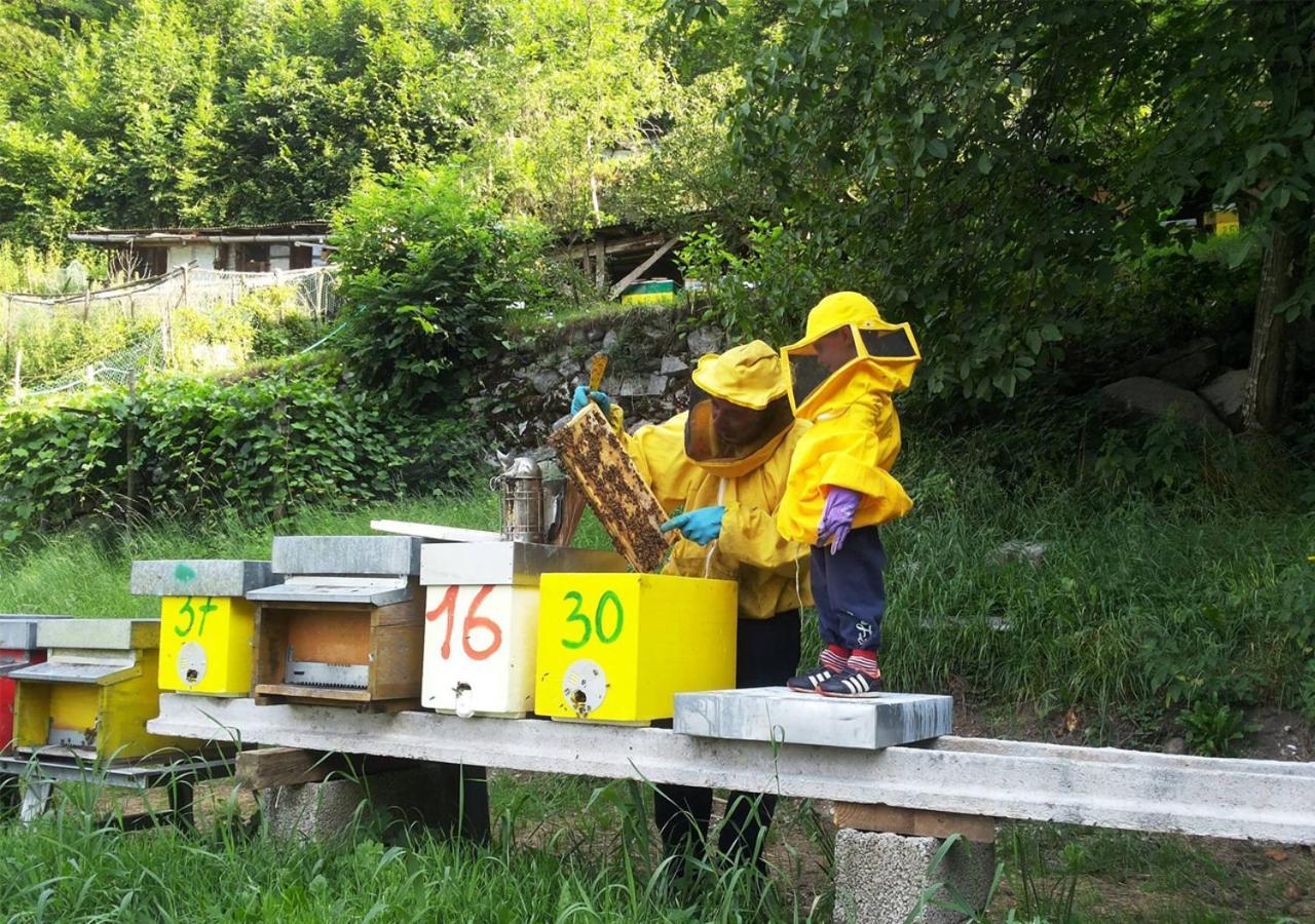 Agriturismo Dalla Natura La Salute Giustino エクステリア 写真